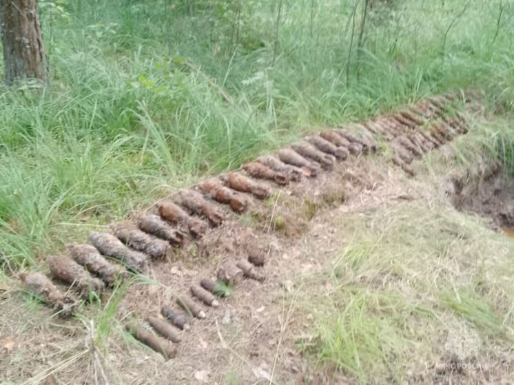 В хвастовичском лесу нашли полсотни боеприпасов