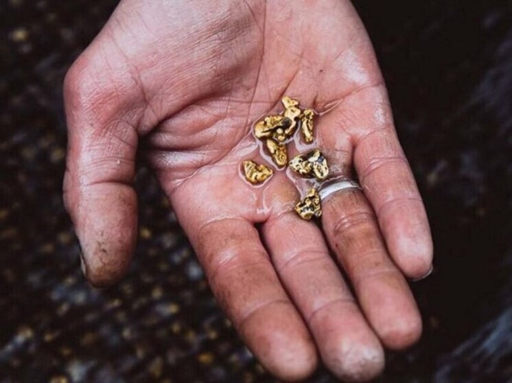 Добычу золота на крупном россыпном месторождении начнут на Чаун-Чукотке