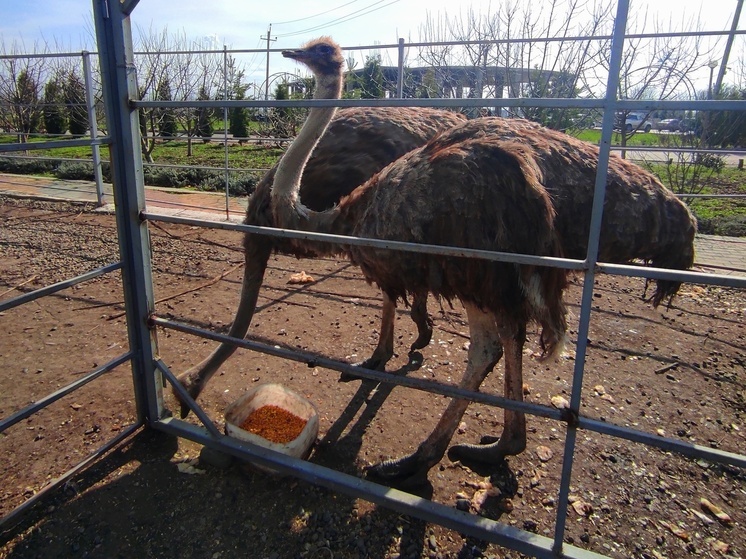 На Ставрополье свыше 120 тысяч гостей с начала года посетило объекты агротуризма