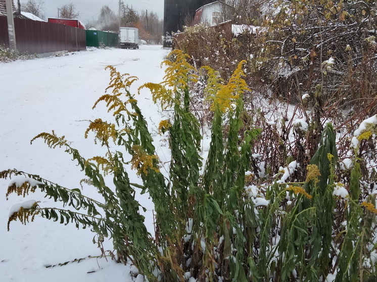 «Готовьтесь к полной жести в середине сентября». Синоптики дали пугающий прогноз