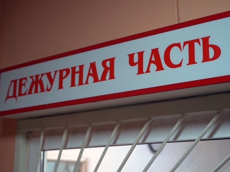 В Липецкой области задержана женщина, укравшая сумку у пенсионерки
