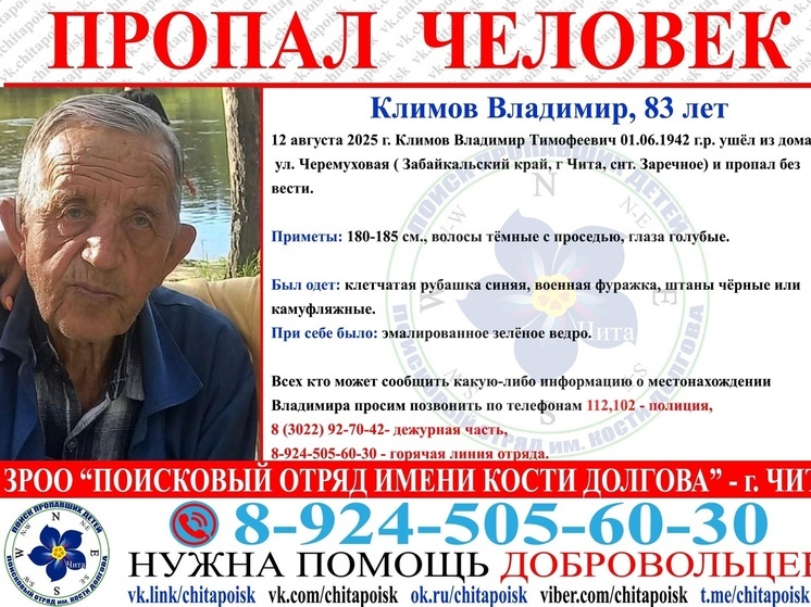 Пенсионер пропал во время сбора ягод в лесу в Забайкалье