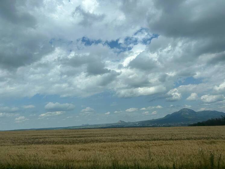 В Минераловодском округе аграрии собрали рекордный урожай зерна