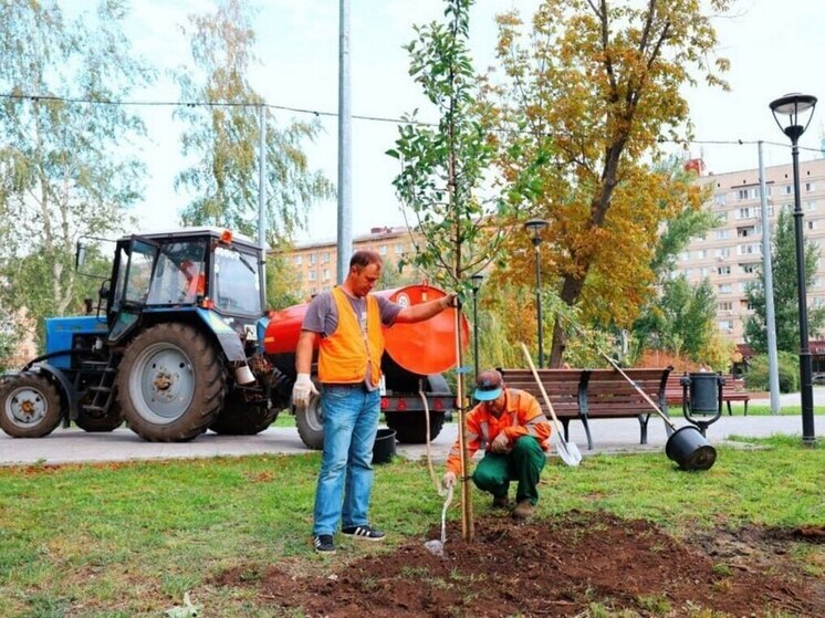В Саратове у Крытого рынка посадили шесть декоративных яблонь