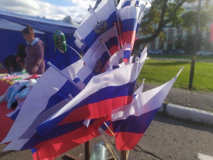 Квест-игра «В поисках цвета для флага российского» пройдет в Вологде (6+)