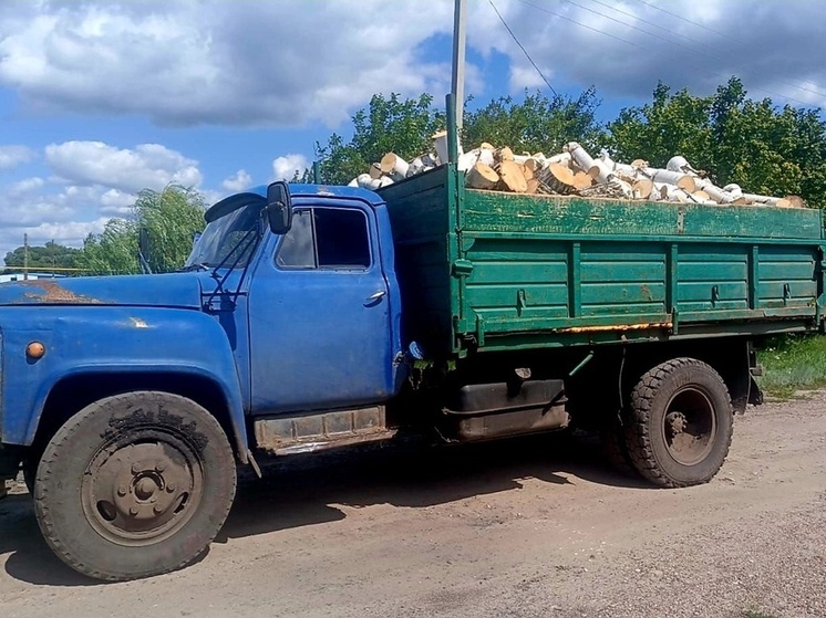 Жительница Рассказовского округа оплатила долги только после ареста самосвала