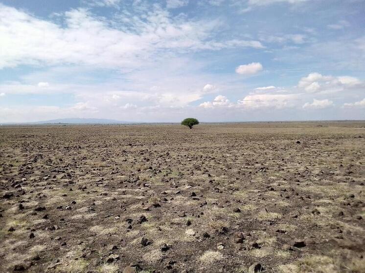 В Бурятии ввели режим чрезвычайной ситуации из-за засухи