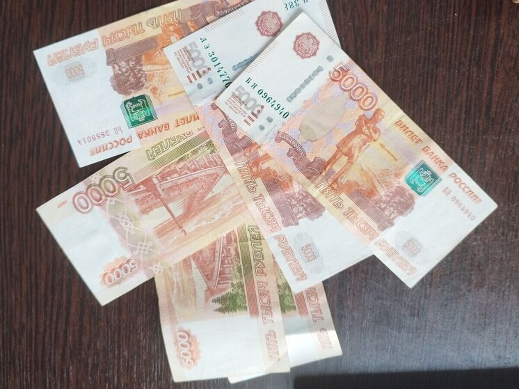 Бастрыкин проконтролирует дело с обманом бывшей узницы концлагеря в Петербурге