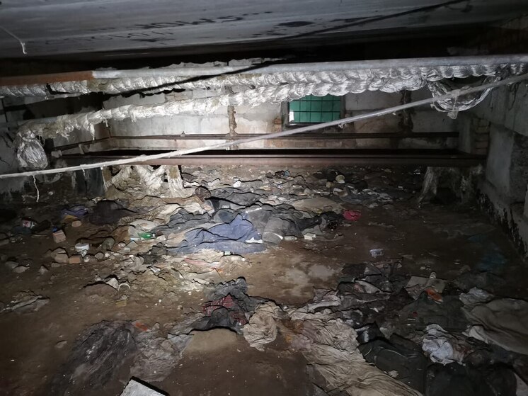 Крысы, трупы животных и мусор: подвалы домов в Пскове требуют срочной обработки