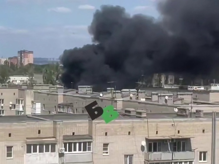 Крупный природный пожар потушили под Ростовом
