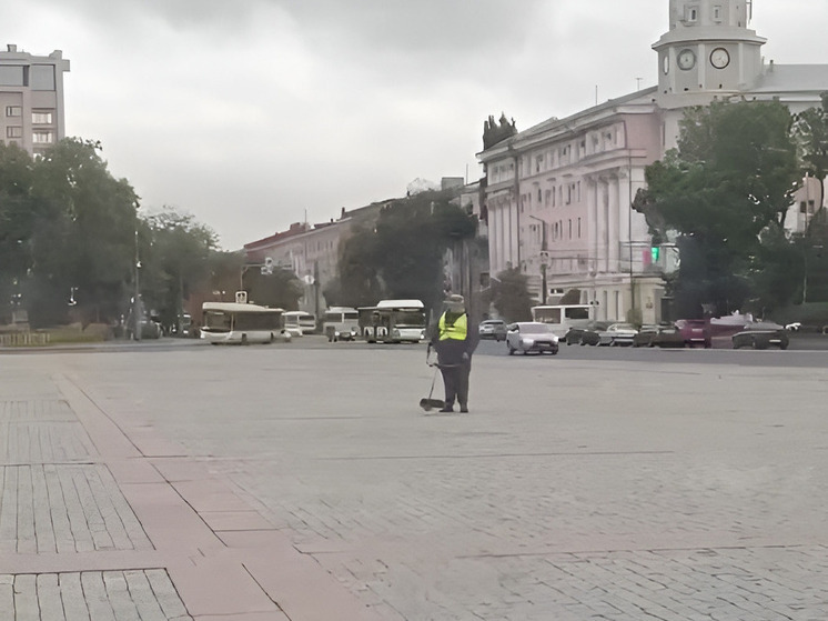 Рабочий триммером косил фантомную траву на площади Ленина в Воронеже