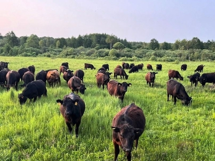 Агрохолдинг в Износковском районе отнесли к уникальным