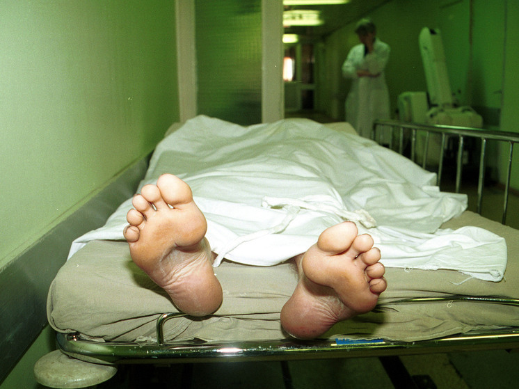 В США 13-летний подросток остался жив, упав с 70-метрового обрыва