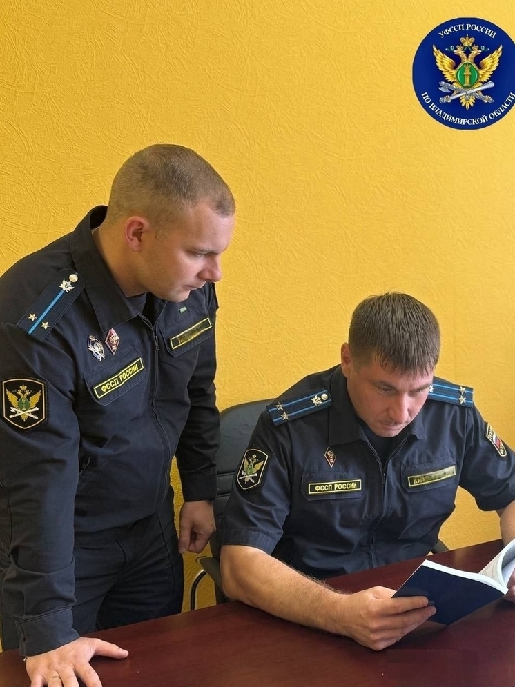 Более 300 иностранцев выдворены приставами Владимирской области