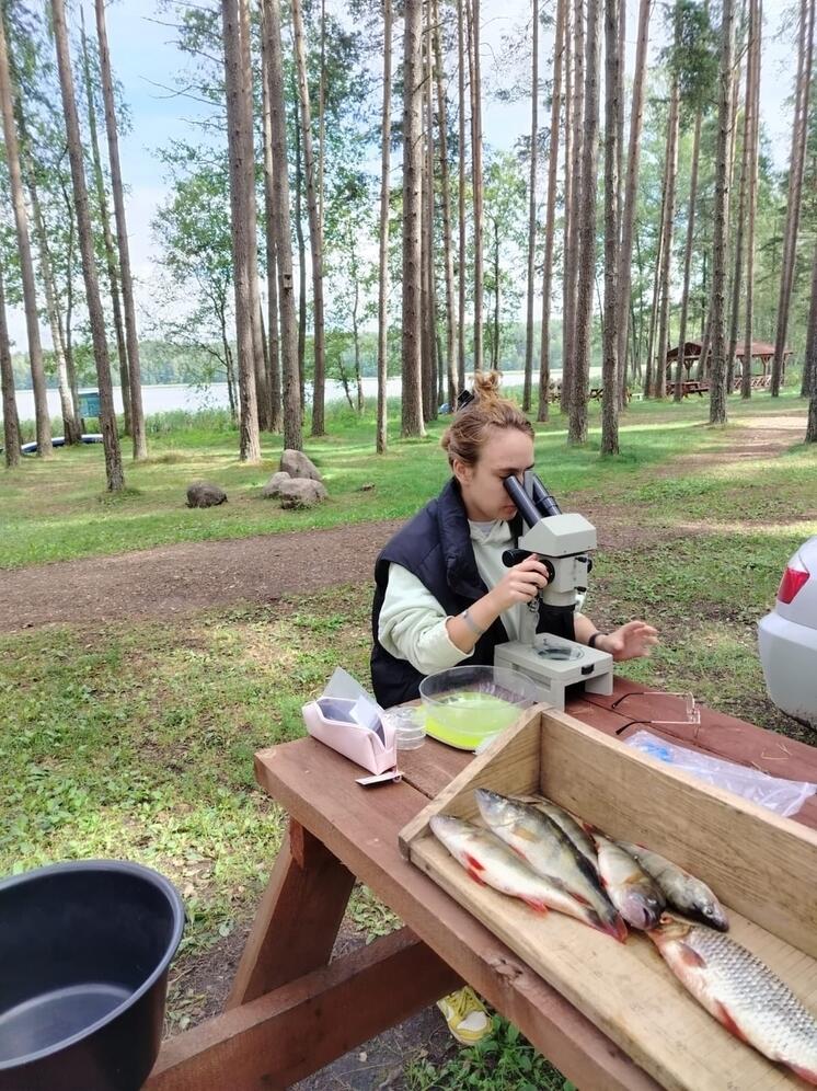 В национальном парке «Себежский» начали научный отлов рыбы