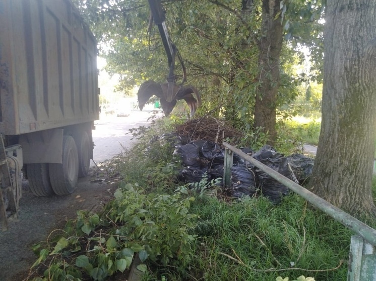 В Сеймском округе Курска убрали несанкционированную свалку