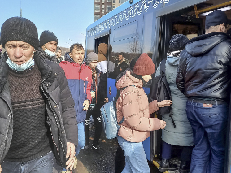 Мигрантов-асфальтоукладчиков в России могут вытеснить автоматизированные катки