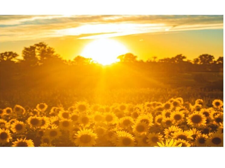 Синоптики 15 августа обещают в Смоленске ясную погоду