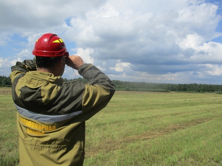 Специалисты Лесопожарной службы бдительно следят за пожарной обстановкой в Смоленских лесах