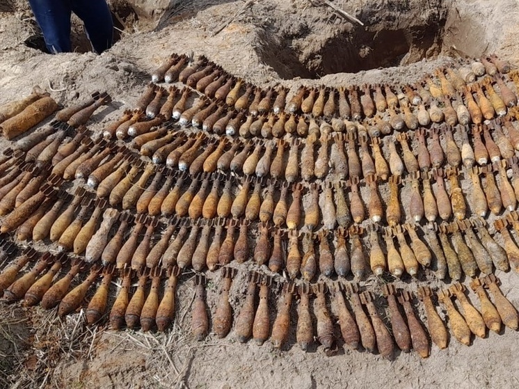 Под Жиздрой взорвали более 200 боеприпасов