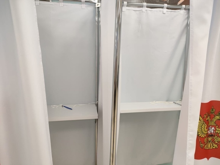 Жители Курской области смогут проголосовать в ЛНР досрочно