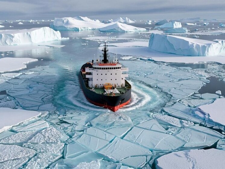 Три челябинских школьника отправились в арктическую экспедицию на ледоколе