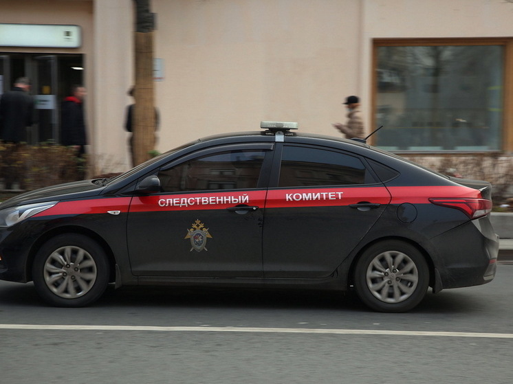 Бастрыкин поручил доложить об инциденте с полицейским, пригрозившим расстрелом