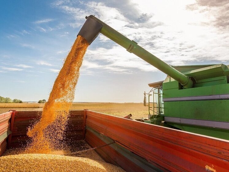 Россельхознадзор Хакасии проверил зерно для Китая, Монголии, Беларуси и Казахстана