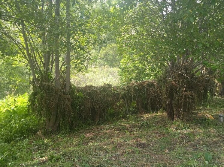 В ООПТ Хакасии для диких животных заготовили около 40 тюков сена