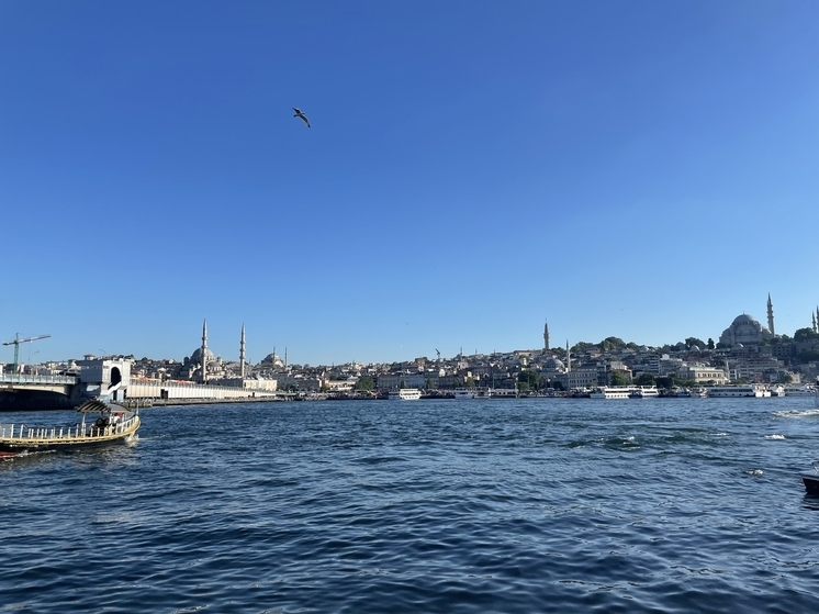 Заглохший нефтяной танкер парализовал транзит судов через Босфорский пролив в Стамбуле