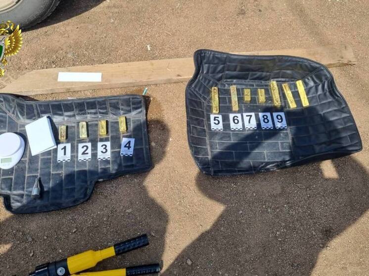 Сотрудники ФСБ пресекли попытку контрабанды золота в 61 млн рублей в Забайкалье