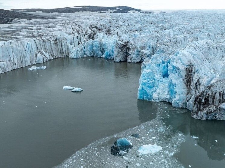 Карельский фотограф Илья Тимин услышал мычание моржей у ледника на Новой Земле