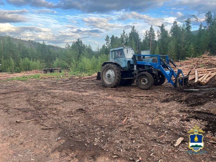 В Хоринском районе задержали подозреваемого в незаконной вырубке леса на 750 тысяч рублей