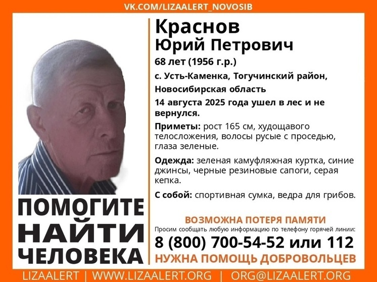 Сутки в Новосибирской области не могут найти 68-летнего грибника