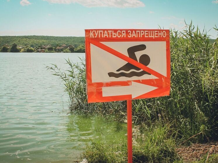 Во Владимире заявили об опасности купания в конце лета