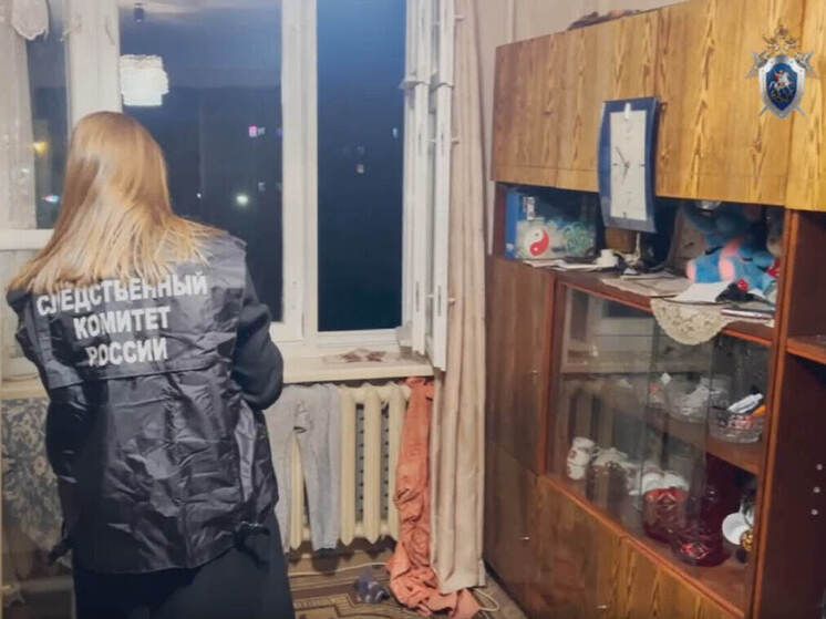 Йошкаролинка проведет три с половиной года в колонии за нападение на мужчину