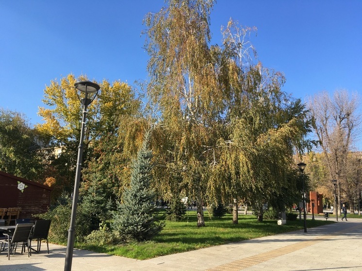 В Саратовской области 15 августа будет ветрено