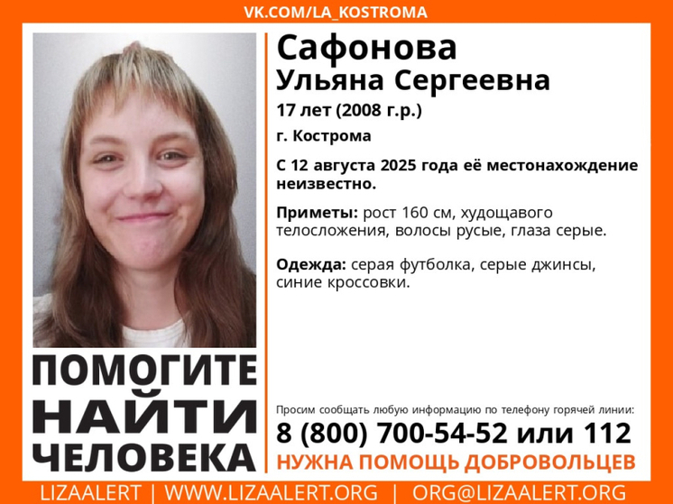 Волонтеры из «Лиза Алерт» просят костромичей о помощи в поисках 17-летней костромички
