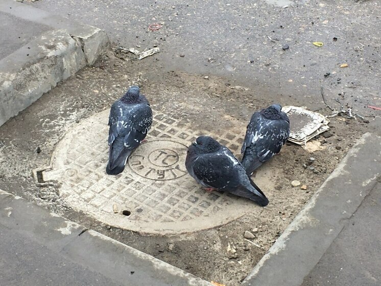 В Саратовскую область пришел антициклон