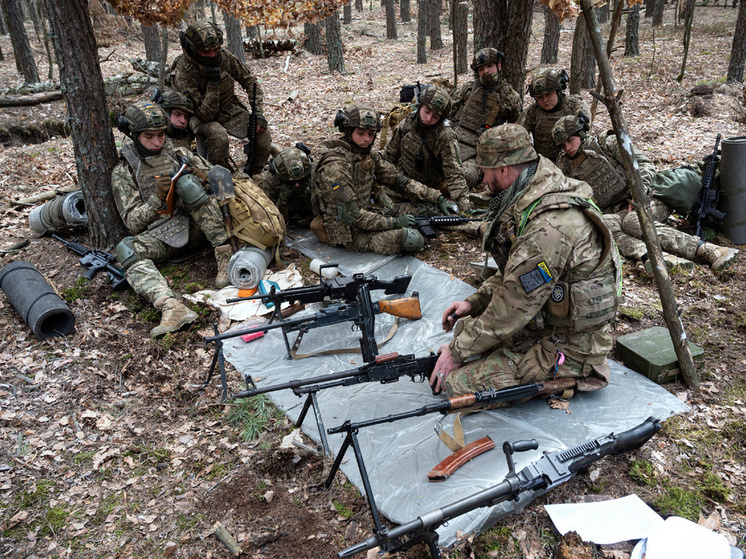 По данным военного волонтёра Романа Алехина и ряда других источников, в Сумской области сосредоточены наиболее боеспособные части ВСУ. 