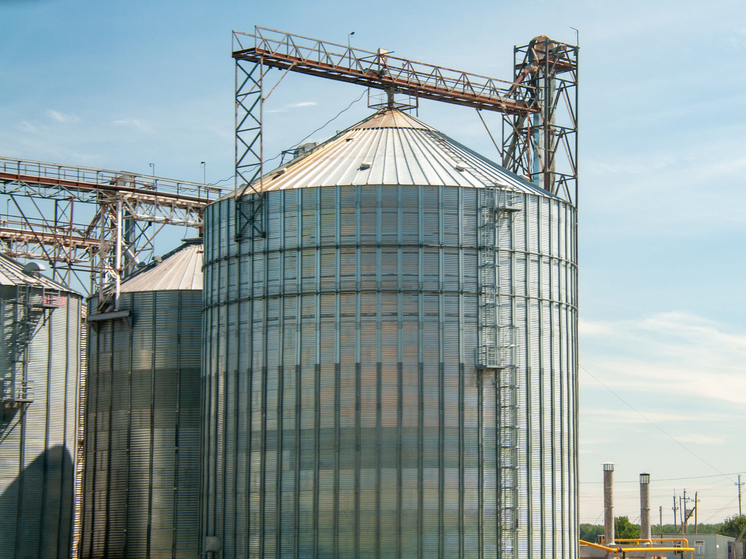 На заводе в Приморском крае рабочего насмерть засыпало кукурузой