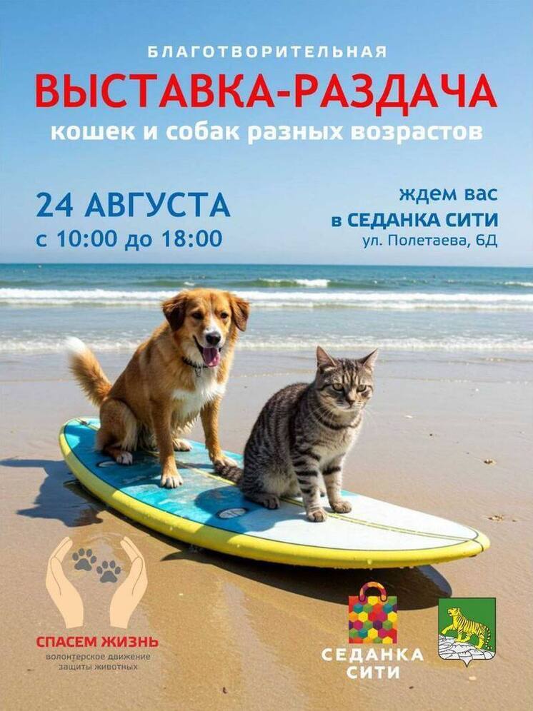 Во Владивостоке 24 августа пройдет выставка-раздача бездомных животных