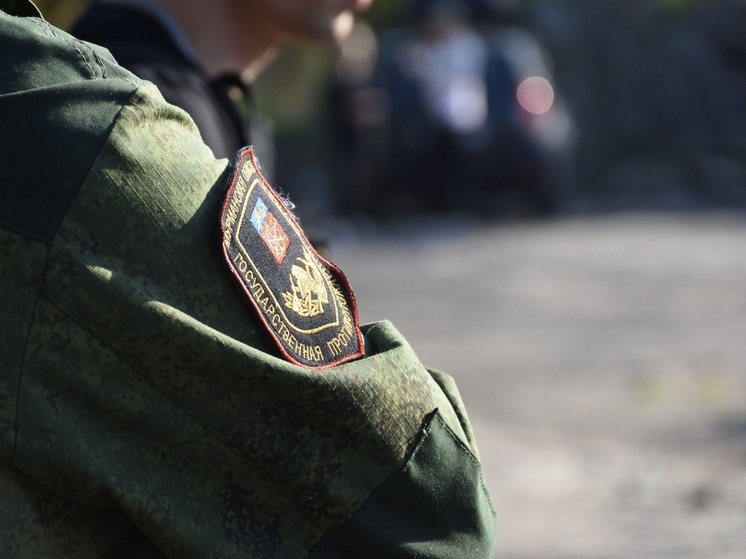Пожарные Мурманской области потушили два пожара 14 августа