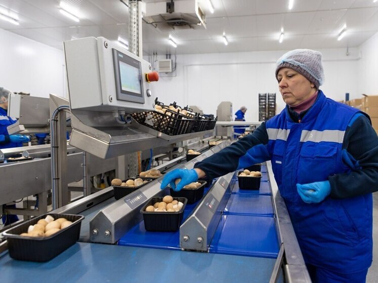 Калужан зовут за грибами в местные магазины