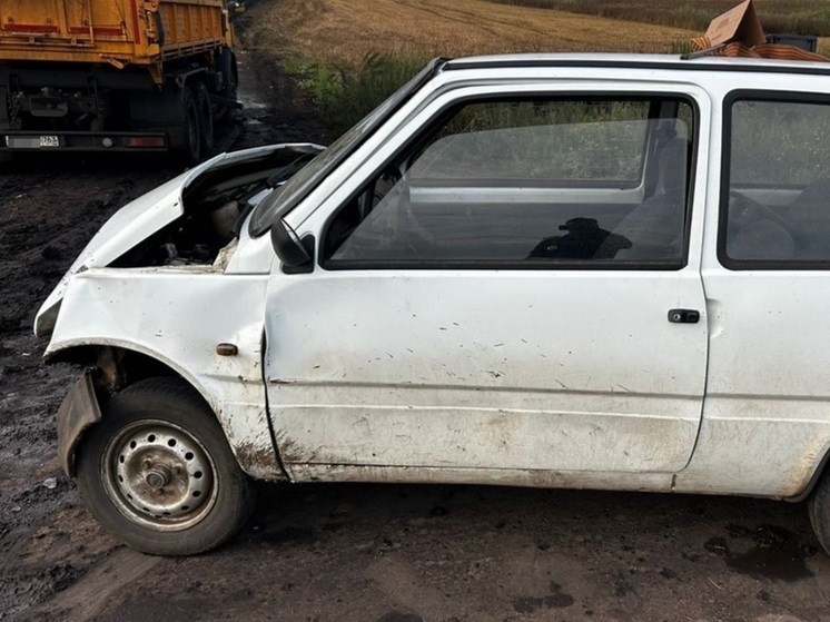Мужчина на КамАЗе врезался в женщину на «Оке» в Самарской области 14 августа