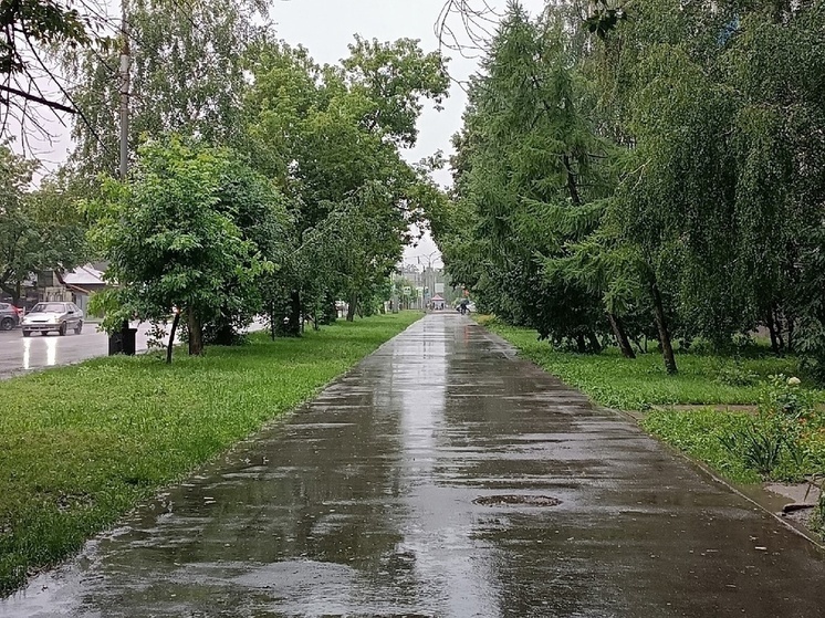 Осеннюю погоду прогнозируют в Тамбове на выходных и в понедельник