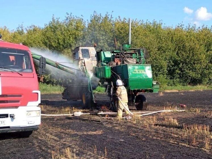 В поле Прохоровского района загорелся комбайн