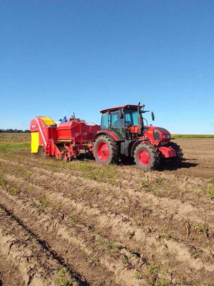 В Перемышльском районе убирают «второй хлеб»