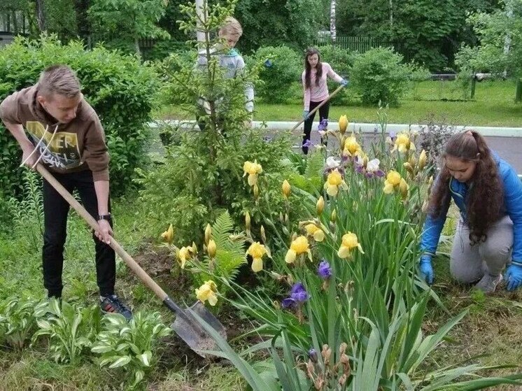 В Алтайском крае более 8,5 тысяч школьников приняли участие в акции службы занятости «5-я трудовая»