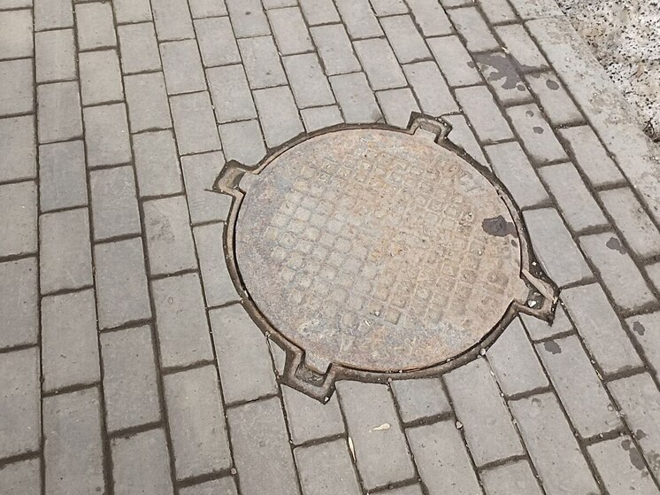 В Петербурге призрак на набережной оказался котенком